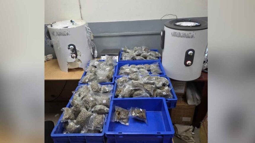 Delhi Airport Marijuana Seizure