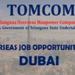Dubai Driver Jobs