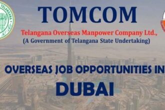 Dubai Driver Jobs
