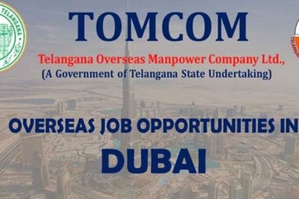 Dubai Driver Jobs