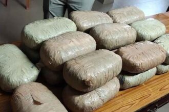 Ganja Smuggling Network