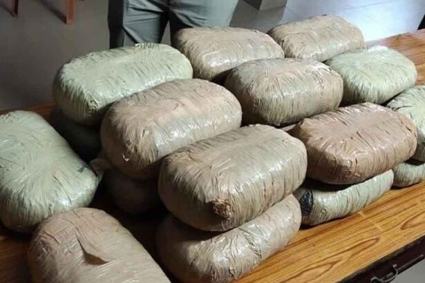 Ganja Smuggling Network