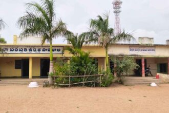 Government School Admissions