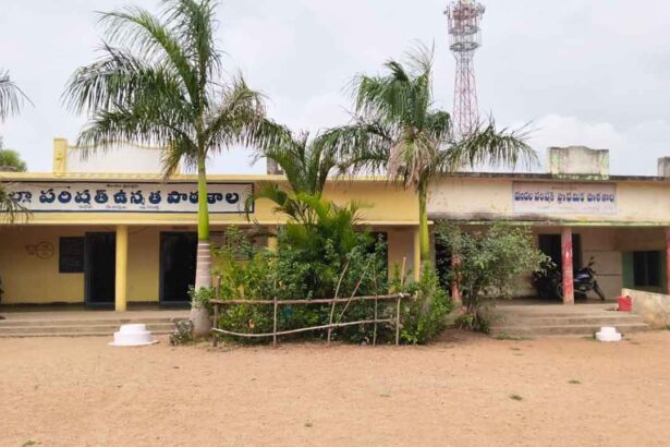 Government School Admissions