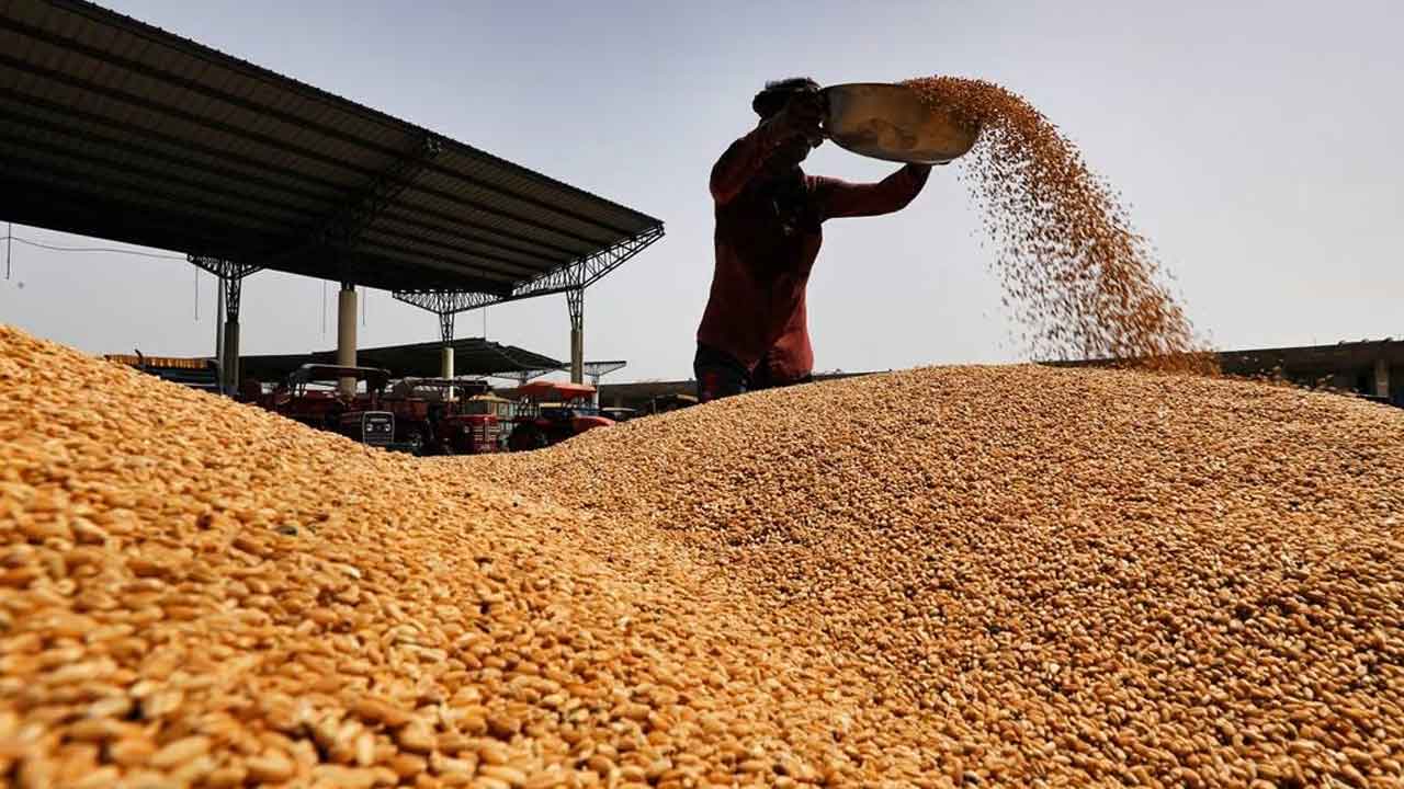 Grain Procurement Dispute
