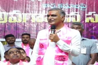 Harish Rao Criticism