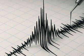Indonesia Earthquake