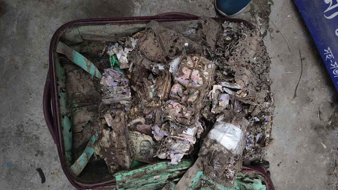 Kolkata Cash Bundles