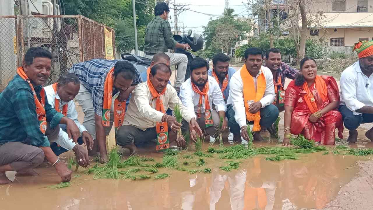 Road Pothole Protest