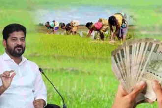 Rythu Bharosa Funds