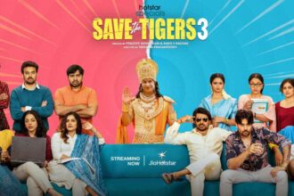 Save The Tigers 3 Review
