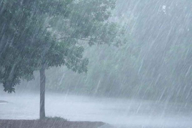 Southwest Monsoon