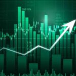 Domestic Stock Market