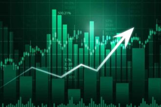 Domestic Stock Market