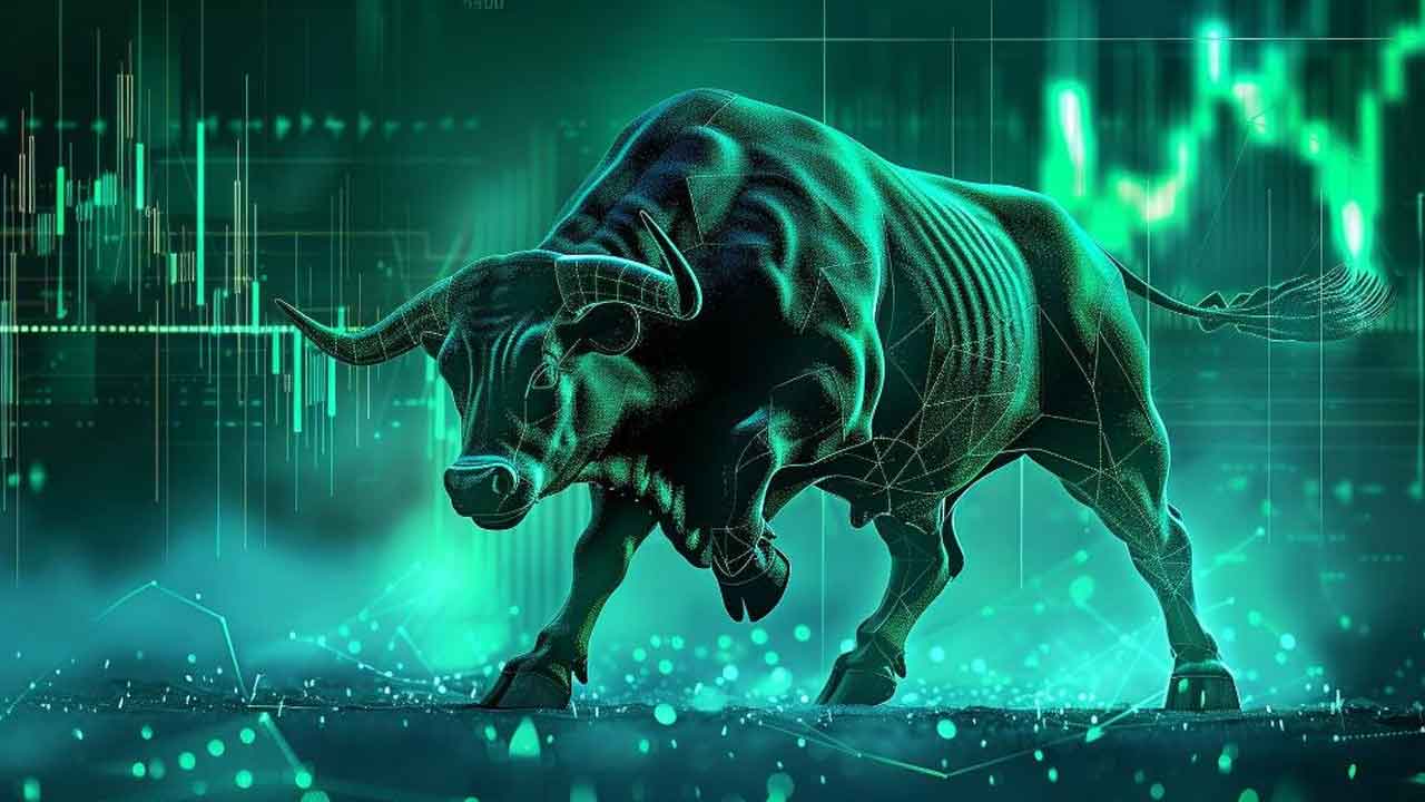 Stock Market Bull Run