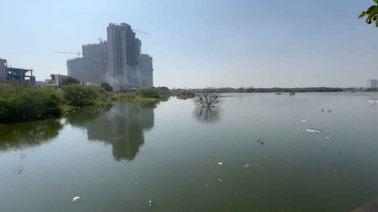 Tellapur Lake 