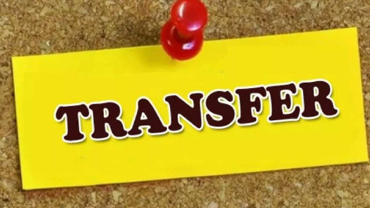 Transport Department Transfers