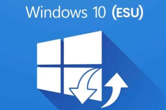 Windows 10 ESU