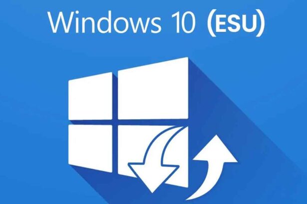 Windows 10 ESU
