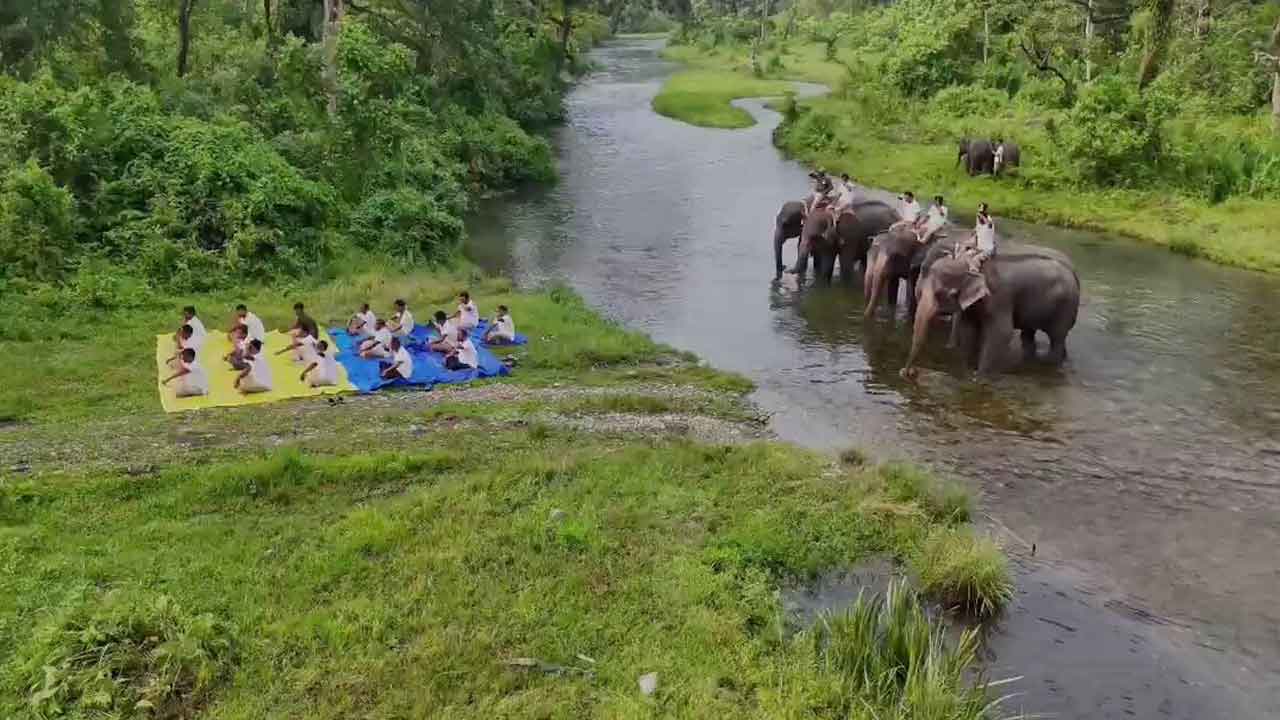 Yoga Day