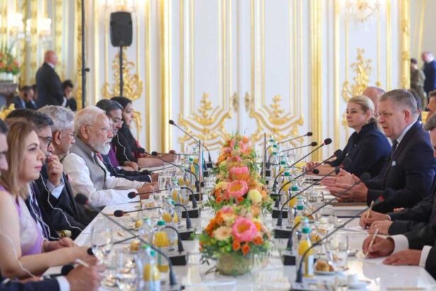 India Slovakia Partnership