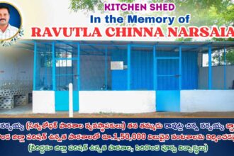 School Kitchen Shed