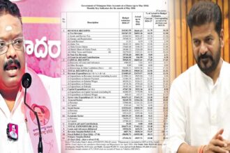 Telangana Financial Crisis