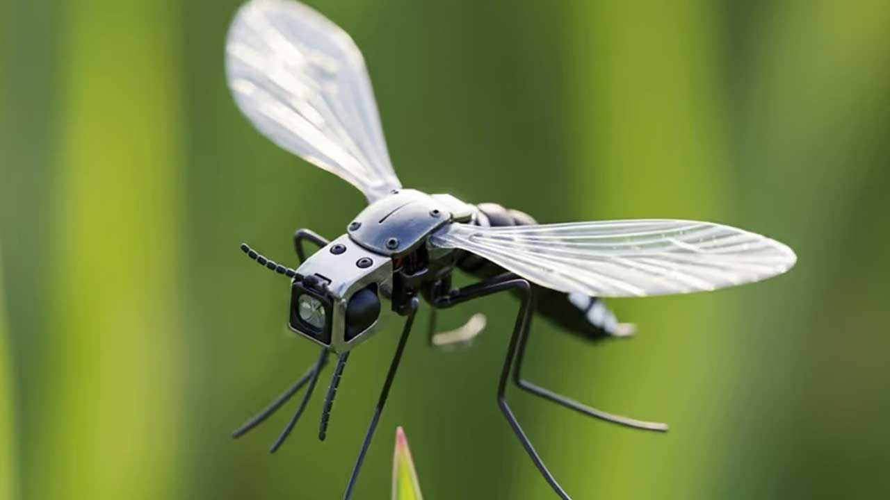 China Spy Drone | దోమ రూపంలో డ్రోన్.. ప్రపంచ భద్రతకు కొత్త సవాల్? చైనా మైక్రో టెక్నాలజీపై అంతర్జాతీయ ఆందోళనలు 2 China Spy Drone