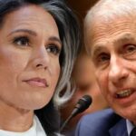 Tulsi Gabbard Wuhan Funding