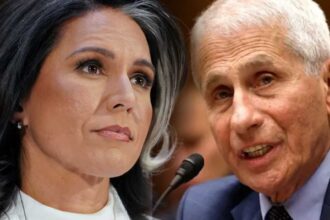 Tulsi Gabbard Wuhan Funding