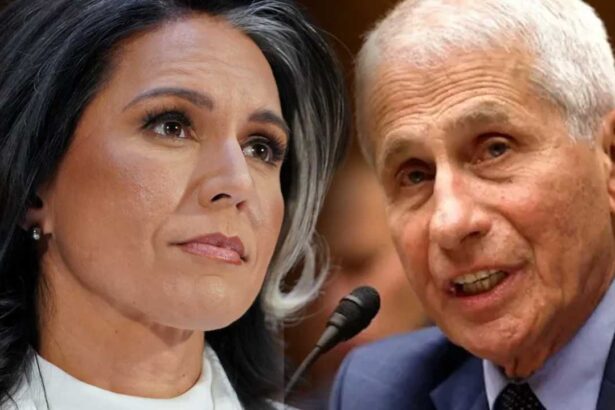 Tulsi Gabbard Wuhan Funding