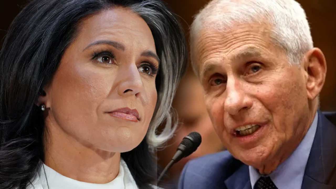 Tulsi Gabbard Wuhan Funding