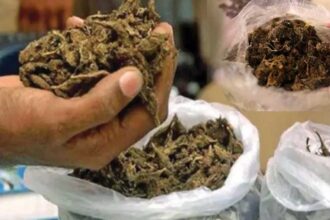Kamareddy Ganja Seizure