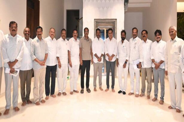 Mahabubnagar Politics