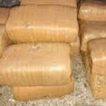 Bhadradri Ganja Seizure