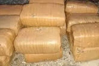 Bhadradri Ganja Seizure