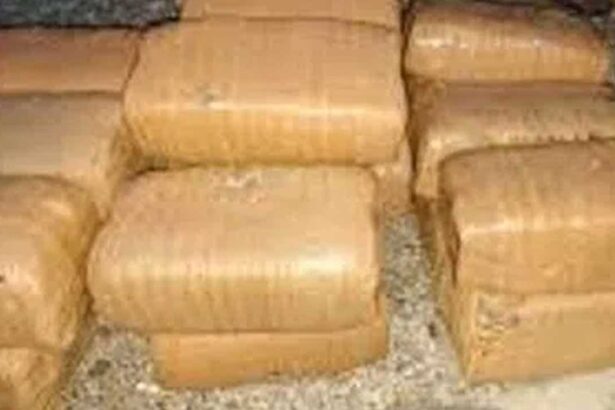 Bhadradri Ganja Seizure