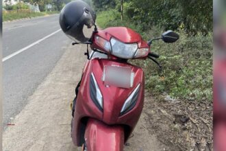 Fake Number Plates