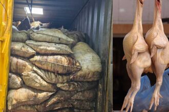 Chicken Waste Seizure