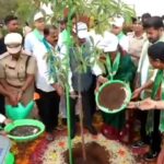 Vana Mahotsavam 2026