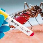 Dengue Season Alert