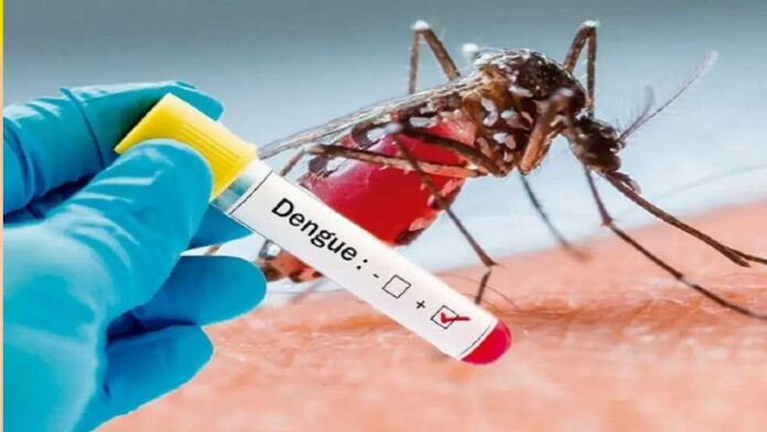 Dengue Season Alert