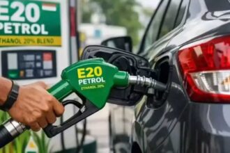 E20 Petrol