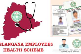 Employee Health Scheme