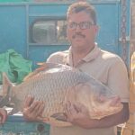 Giant Fish Catch