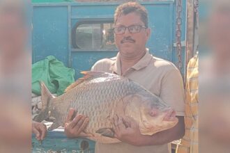 Giant Fish Catch