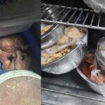 Food Safety Inspections