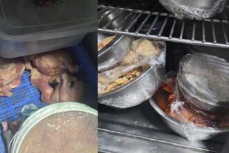 Food Safety Inspections
