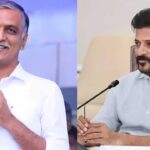 Harish Rao Counter