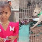 Jnaneshwari Missing Case